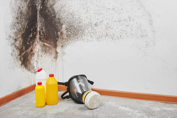 Best Mold Testing  in Victoria, TX