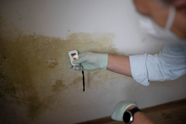 Water Damage Restoration in Victoria, TX