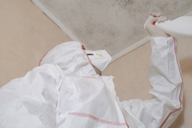 Best Attic Mold Removal  in Victoria, TX
