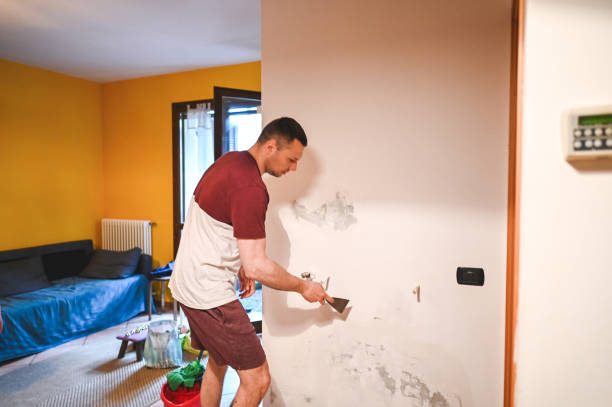 Best Fast Mold Removal  in Victoria, TX