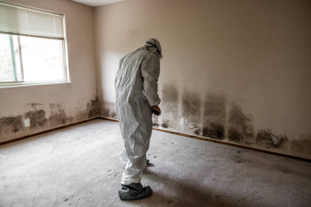 Best Residential Mold Removal  in Victoria, TX
