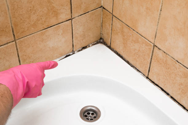Best Affordable Mold Removal  in Victoria, TX